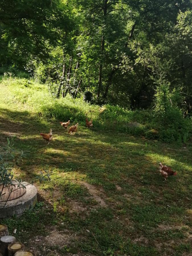Les Roches D'hotes Bed & Breakfast *